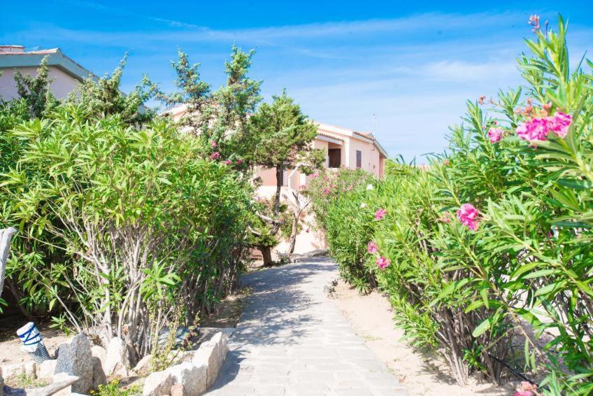 الشقق الفندقية باديسيفي  Baia Delle Mimose المظهر الخارجي الصورة